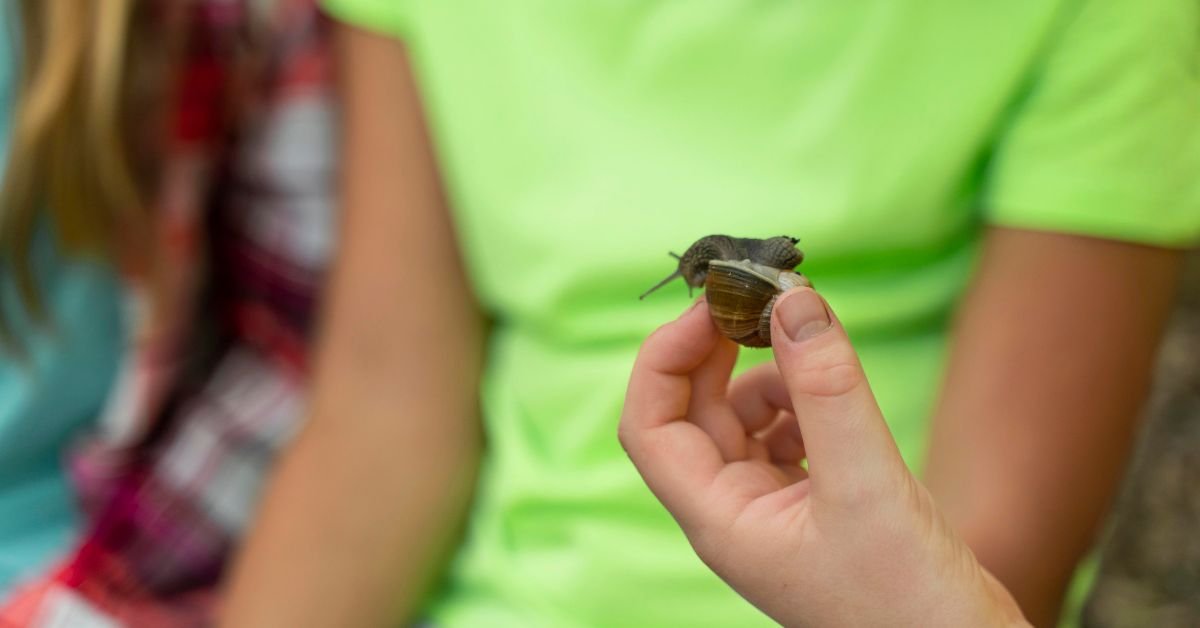 does a moth eat clothes